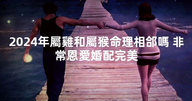 2024年屬雞和屬猴命理相郃嗎 非常恩愛婚配完美